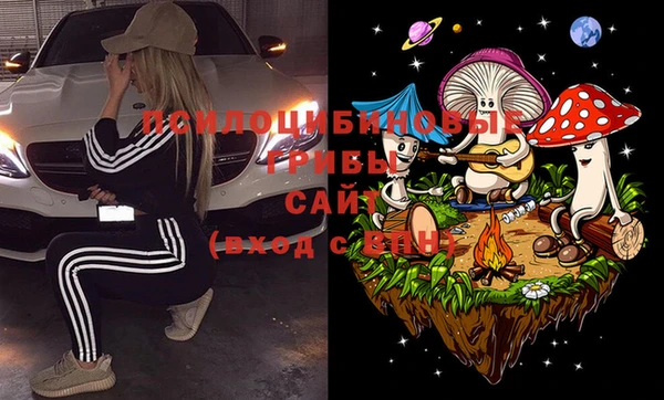 твердый Алзамай
