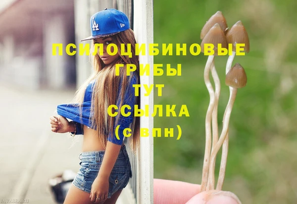 твердый Алзамай