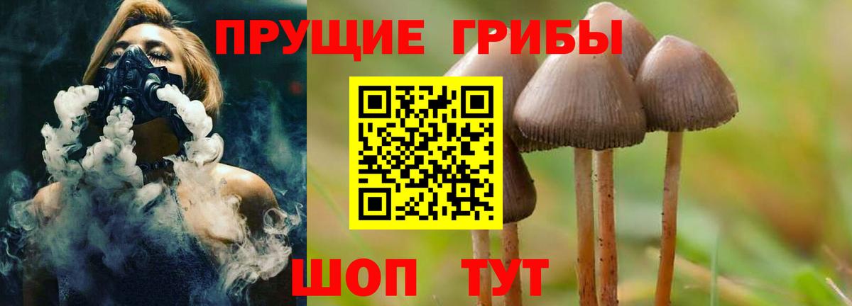 Псилоцибиновые грибы Magic Shrooms  Вход с VPN  Слободской  Псилоцибиновые грибы MAGIC MUSHROOMS 